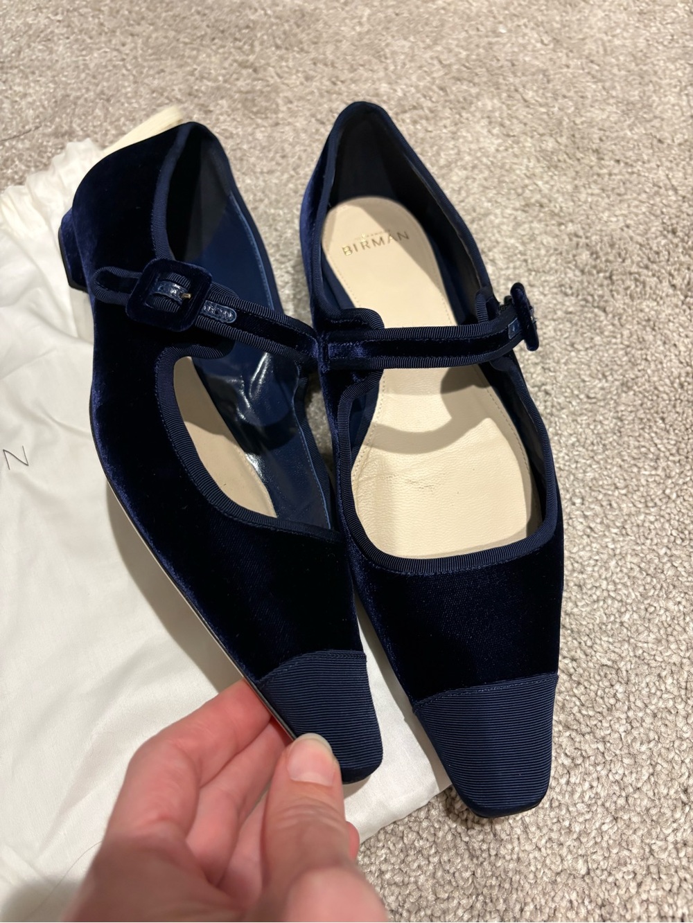 Alexandre Birman Navy Velvet Mary Jane Flats